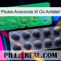 Pilules Anaconda Xl Où Acheter new04
